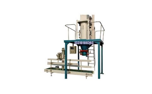 定量稱(chēng)重包裝機(jī) 100公斤多列式包裝機(jī)機(jī)械品牌